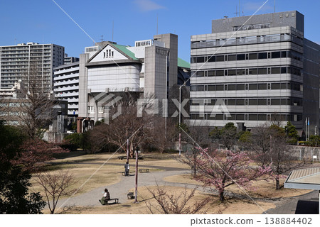 Miyakogawa Park in early spring, Chuo Ward, Chiba City 138884402