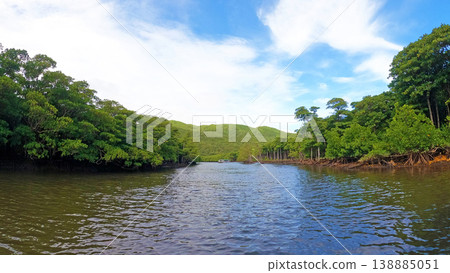 View from a sightseeing boat of the mangrove forest along the Nakama River on Iriomote Island. View from a sightseeing boat of the mangrove forest along the Nakama River on Iriomote Island. 138885051