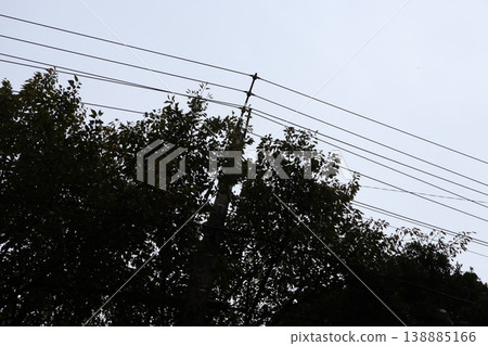 A cloudy sky that looks like it's about to rain, and a row of utility poles stretching out before us. 138885166