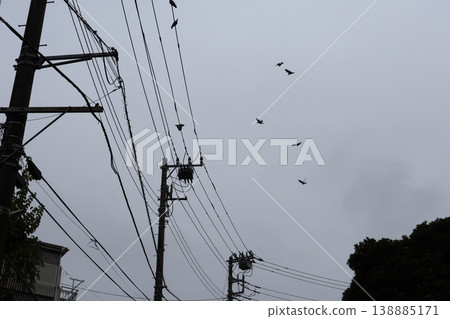 A cloudy sky that looks like it's about to rain, and a row of utility poles stretching out before me. 138885171