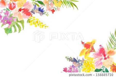 水彩向量插圖,描繪了芙蓉花、龜背竹、雞蛋花、熱帶花卉以及蜂鳥背景。 水彩向量插圖,描繪了芙蓉花、龜背竹、雞蛋花、熱帶花卉以及蜂鳥背景。 138885710