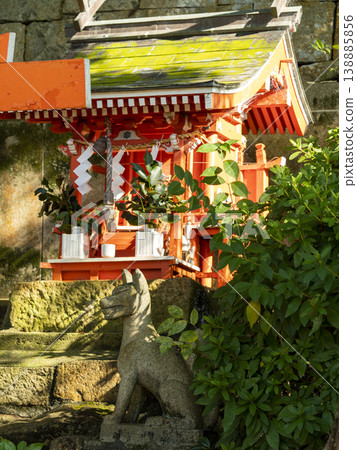 A small Inari shrine bathed in the morning sun. A small Inari shrine bathed in the morning sun. 138885856