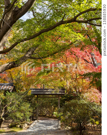 奈良縣宇多市室龍寺的秋葉 138885930