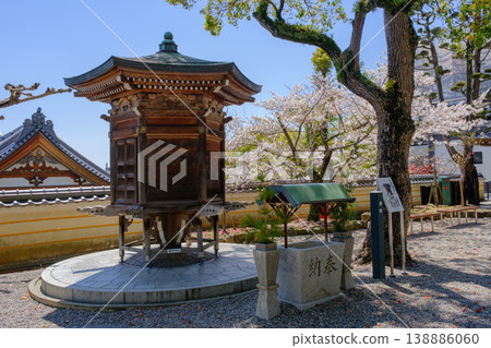 神戶須摩寺抄經殿與櫻花 神戶須摩寺抄經殿與櫻花 138886060