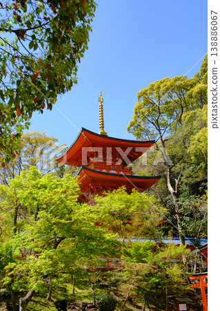 神戶/須磨地/三重塔 神戶/須磨地/三重塔 138886067