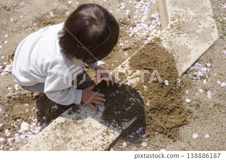 Children engrossed in playing in the sandbox under the cherry blossoms in the park. 138886187