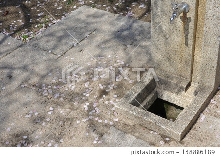 A drinking fountain in a park where cherry blossom petals have fallen. A drinking fountain in a park where cherry blossom petals have fallen. 138886189