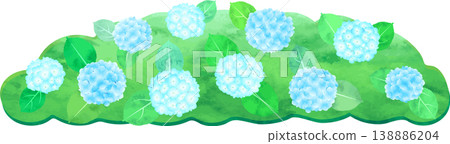 Watercolor-style illustration of a hydrangea - blue 138886204