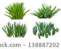 Grass cutout (PNG with transparent background) 138887202