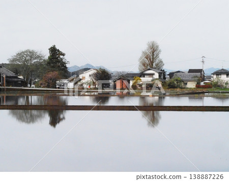 A landscape with flooded rice paddies (the Kochi Plain in spring, with a wide agricultural road running through it). 138887226