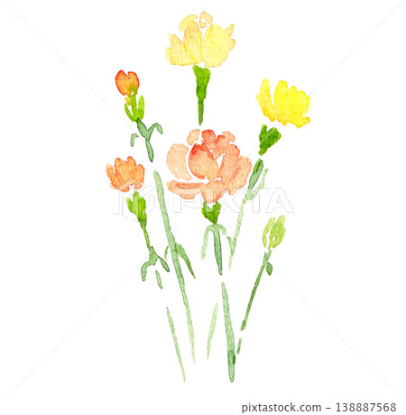 Watercolor carnations Watercolor carnations 138887568