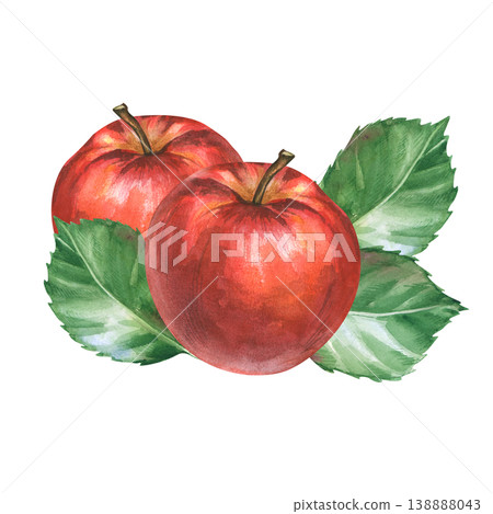 Watercolor illustration of two red apples with green leaves isolated on white background. Watercolor illustration of two red apples with green leaves isolated on white background. 138888043