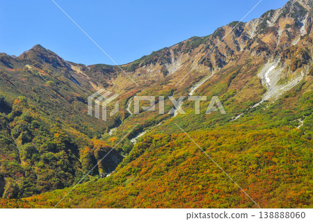 從立山索道纜車上欣賞秋葉美景。 從立山索道纜車上欣賞秋葉美景。 138888060