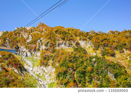 從立山索道纜車上欣賞秋葉美景。 138888068