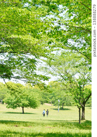 公園綠樹成蔭，景色生動 138888279