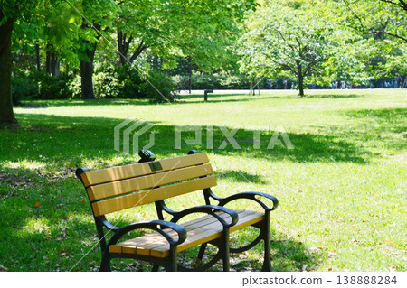 Vibrant park scenery with fresh greenery Vibrant park scenery with fresh greenery 138888284