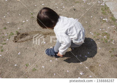 A boy plays by drawing on the sand on the ground of a park where cherry blossom petals have fallen. 138888287