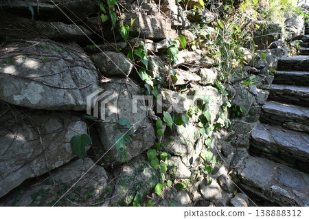 世界遺產：長崎市小野村落（小野教堂） 138888312