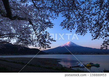 Lake Kawaguchi in spring: The magnificent sight of Mount Fuji in the early morning and cherry blossoms in full bloom. Lake Kawaguchi in spring: The magnificent sight of Mount Fuji in the early morning and cherry blossoms in full bloom. 138888453