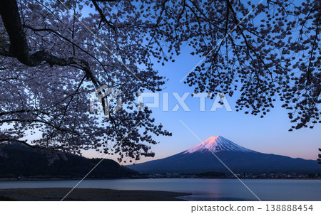 春天的河口湖:清晨富士山的壯麗景色和盛開的櫻花。 春天的河口湖:清晨富士山的壯麗景色和盛開的櫻花。 138888454
