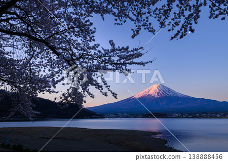 Lake Kawaguchi in spring: The magnificent sight of Mount Fuji in the early morning and cherry blossoms in full bloom. Lake Kawaguchi in spring: The magnificent sight of Mount Fuji in the early morning and cherry blossoms in full bloom. 138888456