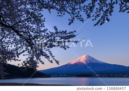 春天的河口湖：清晨富士山的壯麗景色和盛開的櫻花。 138888457
