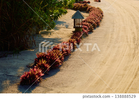 the territory of a luxury resort in the Maldives surrounded by greenery at sunset, neat paths 138888529