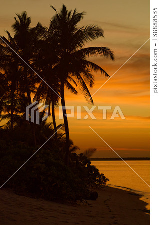 Magical sunset with orange sky and palm trees at dusk on Maldives islands, reflection on the water in beach, no people Magical sunset with orange sky and palm trees at dusk on Maldives islands, reflection on the water in beach, no people 138888535