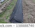 Non-woven fabric perforated mulch for agricultural use 138888740