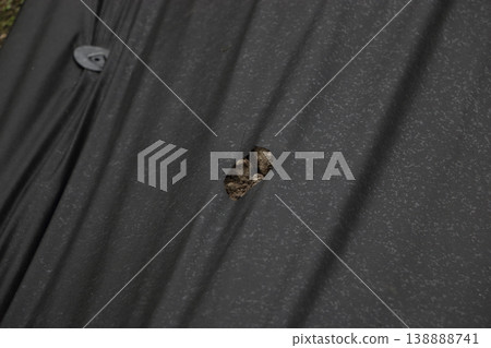 Non-woven fabric perforated mulch for agricultural use 138888741