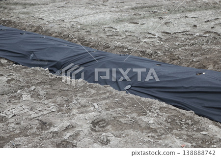 Non-woven fabric perforated mulch for agricultural use 138888742