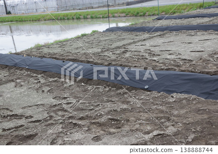Non-woven fabric perforated mulch for agricultural use Non-woven fabric perforated mulch for agricultural use 138888744