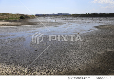 Tidal flats at low tide Tidal flats at low tide 138888802