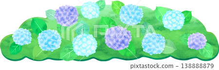 水彩風格的繡球花插圖 - 藍紫色 138888879