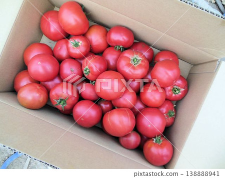 一箱剛採摘的、完全成熟的紅色西紅柿。 一箱剛採摘的、完全成熟的紅色西紅柿。 138888941