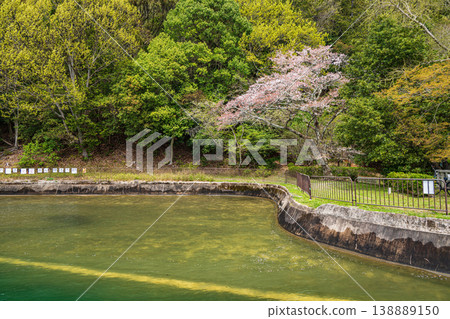 The lush green mountains along the Lake Biwa Canal, near the entrance to the Moroha Tunnel, Kyoto City. The lush green mountains along the Lake Biwa Canal, near the entrance to the Moroha Tunnel, Kyoto City. 138889150