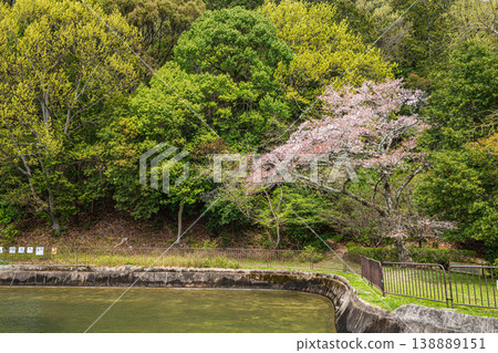 京都市諸葉隧道入口附近,琵琶湖運河沿岸鬱鬱蔥蔥的青山。 京都市諸葉隧道入口附近,琵琶湖運河沿岸鬱鬱蔥蔥的青山。 138889151