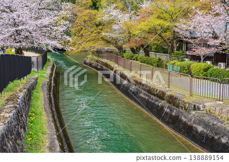 Lake Biwa Canal in Spring, Kyoto City 138889154
