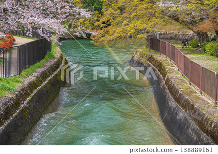 Lake Biwa Canal in Spring, Kyoto City 138889161