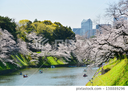 Cherry blossoms at the Imperial Chidorigafuchi Cherry blossoms at the Imperial Chidorigafuchi 138889296