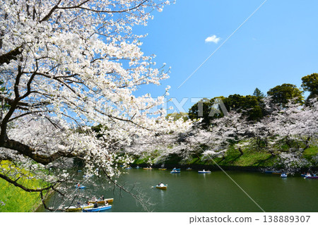 櫻花在Imperial Chidorigafuchi 138889307