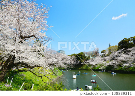 Cherry blossoms at the Imperial Chidorigafuchi Cherry blossoms at the Imperial Chidorigafuchi 138889311