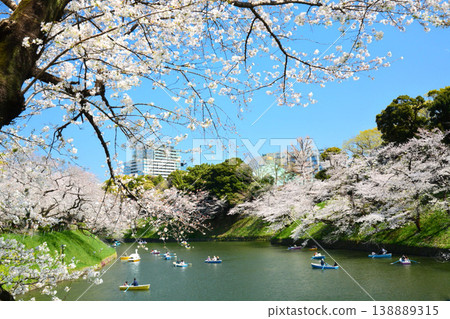 Cherry blossoms at the Imperial Chidorigafuchi Cherry blossoms at the Imperial Chidorigafuchi 138889315