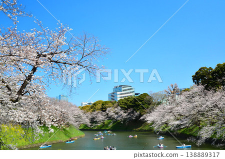 Cherry blossoms at the Imperial Chidorigafuchi Cherry blossoms at the Imperial Chidorigafuchi 138889317