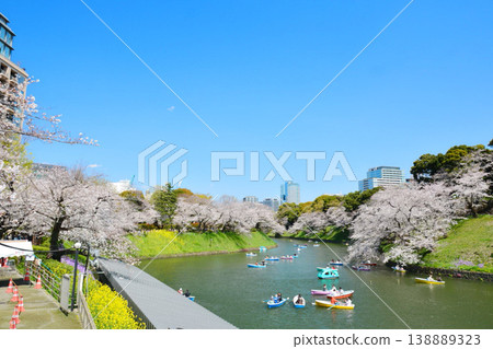 櫻花在Imperial Chidorigafuchi 櫻花在Imperial Chidorigafuchi 138889323
