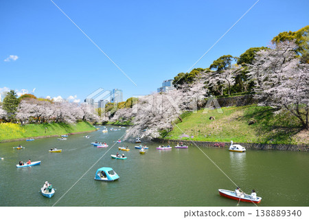 櫻花在Imperial Chidorigafuchi 138889340