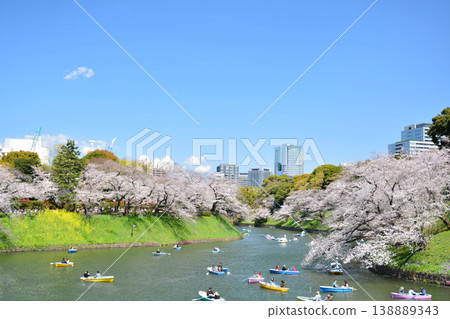 櫻花在Imperial Chidorigafuchi 櫻花在Imperial Chidorigafuchi 138889343