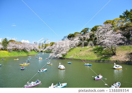 Cherry blossoms at the Imperial Chidorigafuchi Cherry blossoms at the Imperial Chidorigafuchi 138889354