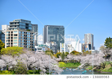 Cherry blossoms at the Imperial Chidorigafuchi 138889363