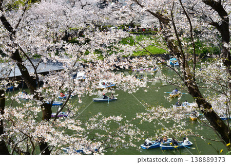 櫻花在Imperial Chidorigafuchi 櫻花在Imperial Chidorigafuchi 138889373
